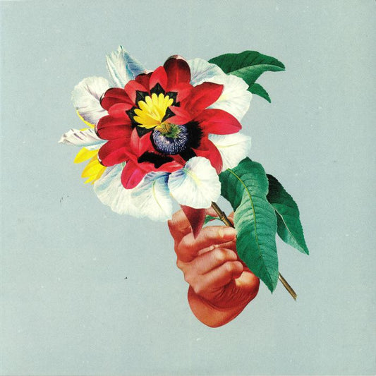 Kingdoms In Colour - Vinyl LP vinyl record cover