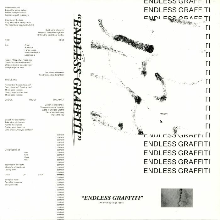Endless Graffiti - Vinyl LP vinyl record cover