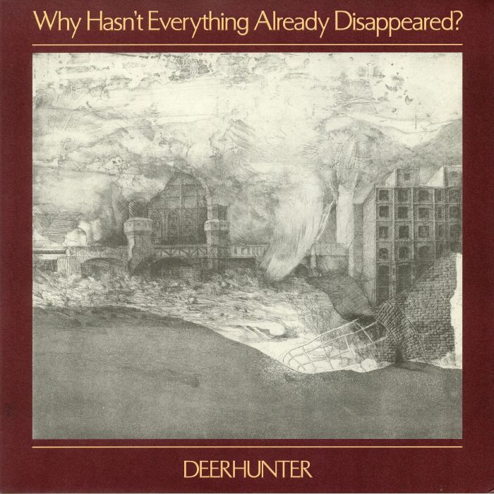 Why Hasn't Everything Already Disappeared? - Grey Vinyl LP vinyl record cover