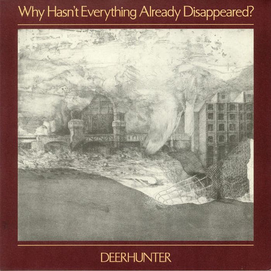 Why Hasn't Everything Already Disappeared? - Grey Vinyl LP vinyl record cover