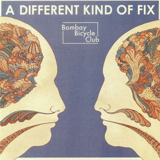 A Different Kind Of Fix - Vinyl LP vinyl record cover