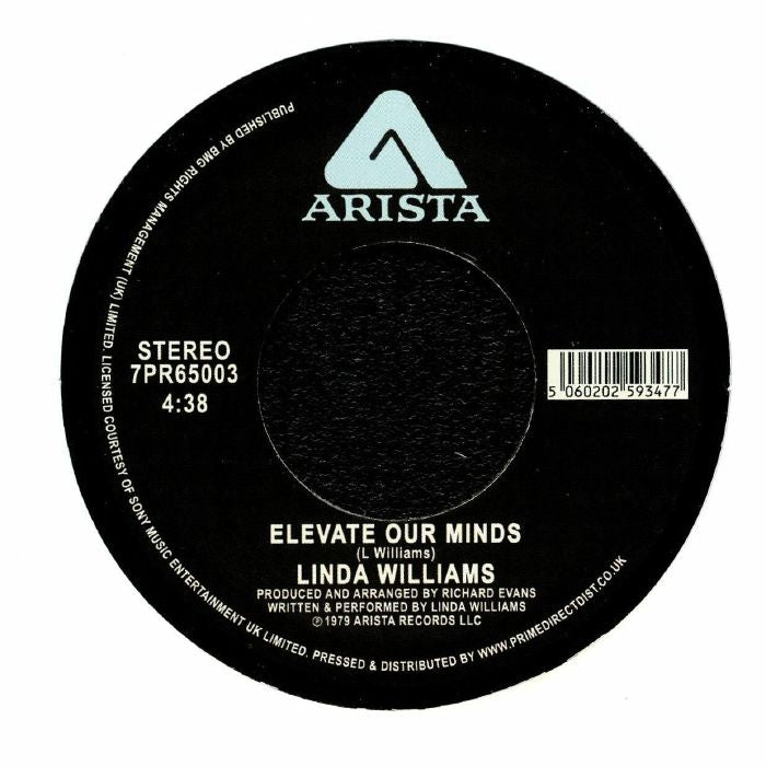 Elevate Our Minds - Vinyl Single vinyl record cover