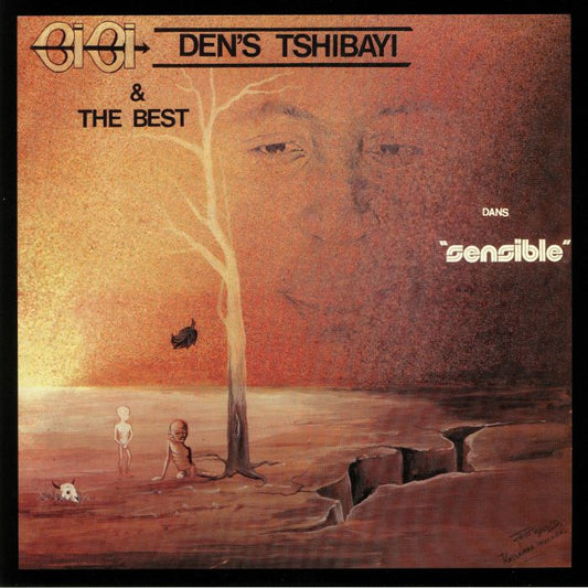 Sensible - Vinyl LP vinyl record cover