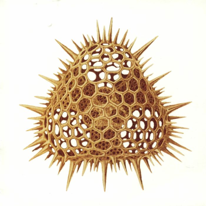 Soundsystem - Vinyl Single vinyl record cover