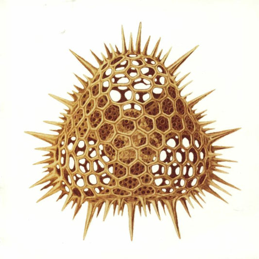 Soundsystem - Vinyl Single vinyl record cover