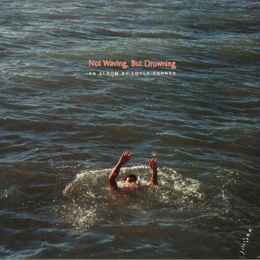 Not Waving But Drowning - Vinyl LP vinyl record cover