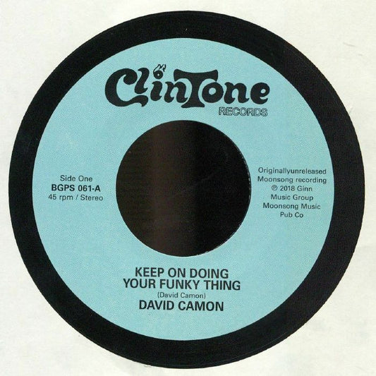 Keep On Doing Your Funky Thing - Vinyl Single vinyl record cover