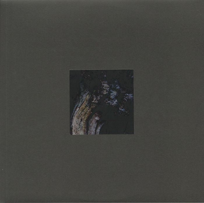 The Garden Of Perpetual Dreams - Vinyl LP vinyl record cover