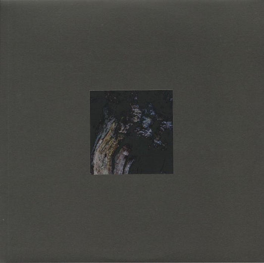 The Garden Of Perpetual Dreams - Vinyl LP vinyl record cover