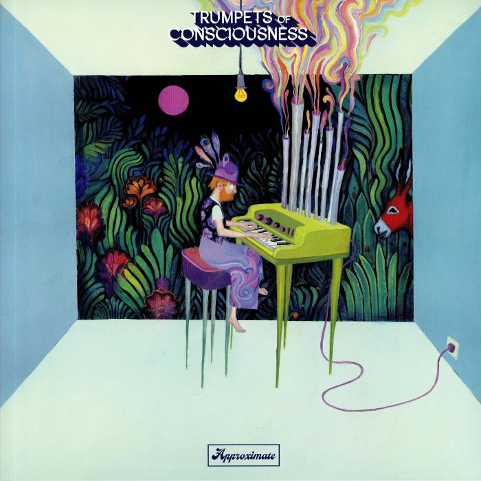 Approximate - Vinyl LP vinyl record cover