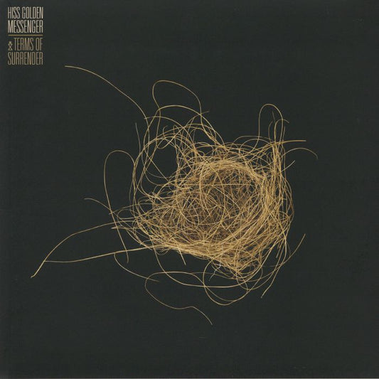 Terms Of Surrender - Vinyl LP vinyl record cover