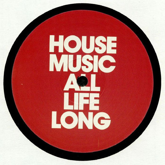 Big Love (remixes & original) - 12" Vinyl vinyl record cover