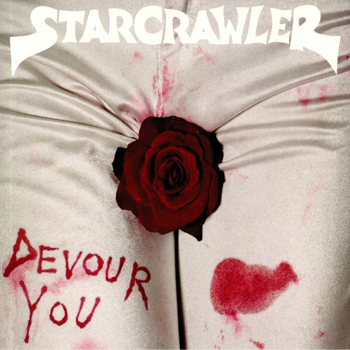 Devour You - Vinyl LP vinyl record cover