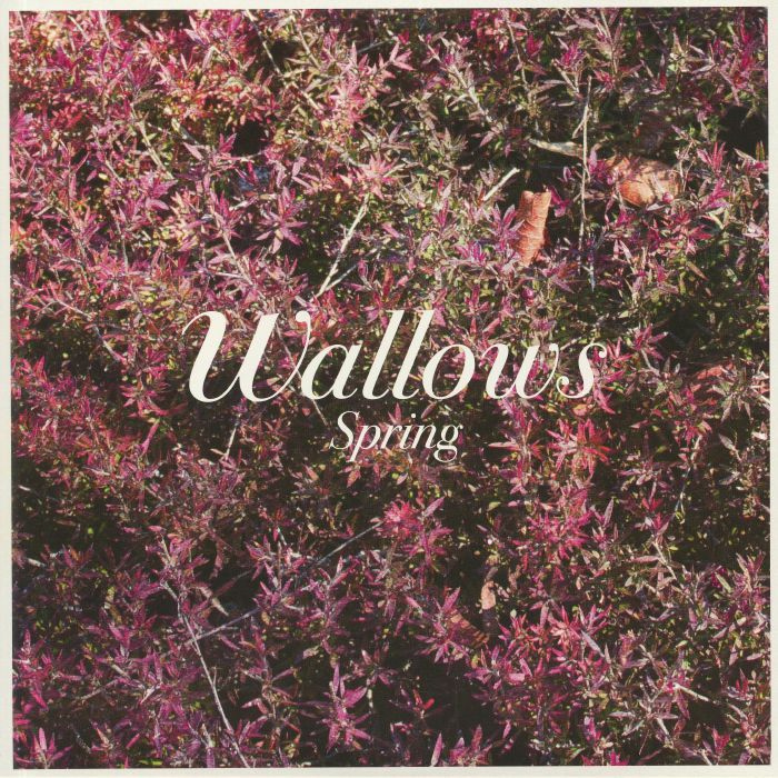 Spring - Vinyl EP vinyl record cover