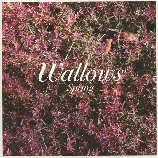 Spring - Vinyl EP vinyl record cover