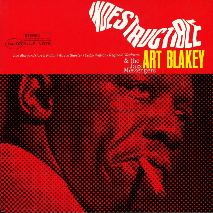 Indestructible - Vinyl LP vinyl record cover