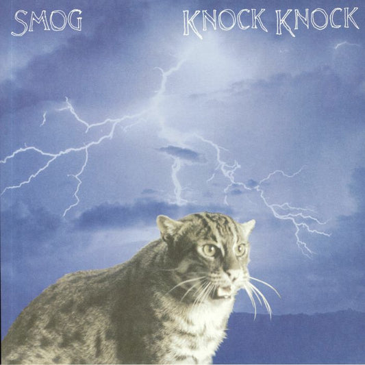Knock Knock - 20th Anniversary Half Speed Remastered Vinyl LP vinyl record cover