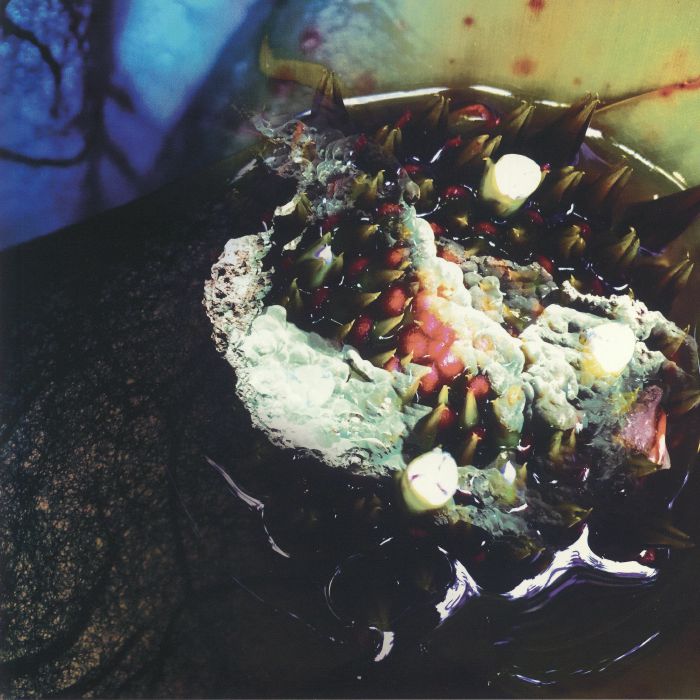 In Real Life - Vinyl LP vinyl record cover