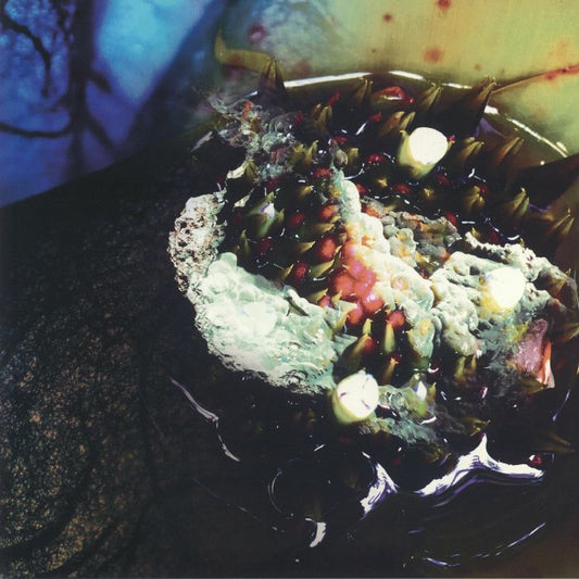 In Real Life - Vinyl LP vinyl record cover