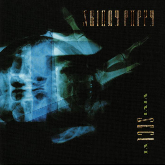 VIVI Sect VI - Vinyl LP vinyl record cover