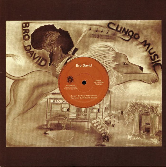 Bro David Remixes - Vinyl EP vinyl record cover