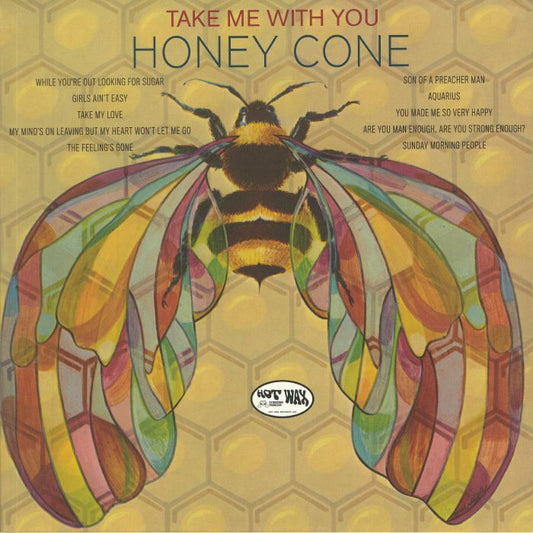 Take Me With You - Vinyl LP vinyl record cover