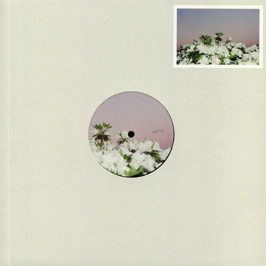 Ripples From The Edge EP - Vinyl EP vinyl record cover