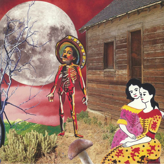 In The West - 2xLP vinyl record cover