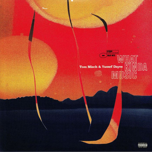 What Kinda Music - 2xLP vinyl record cover