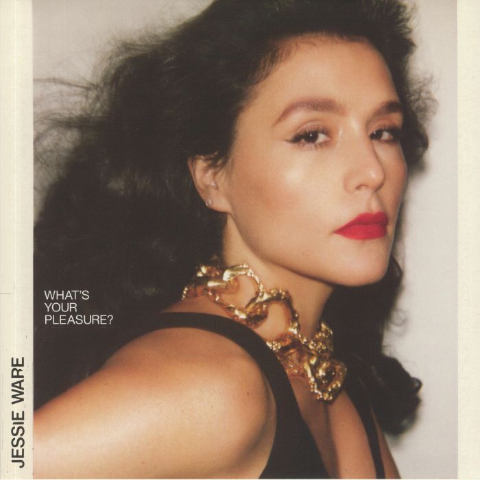 What's Your Pleasure? - Vinyl LP vinyl record cover