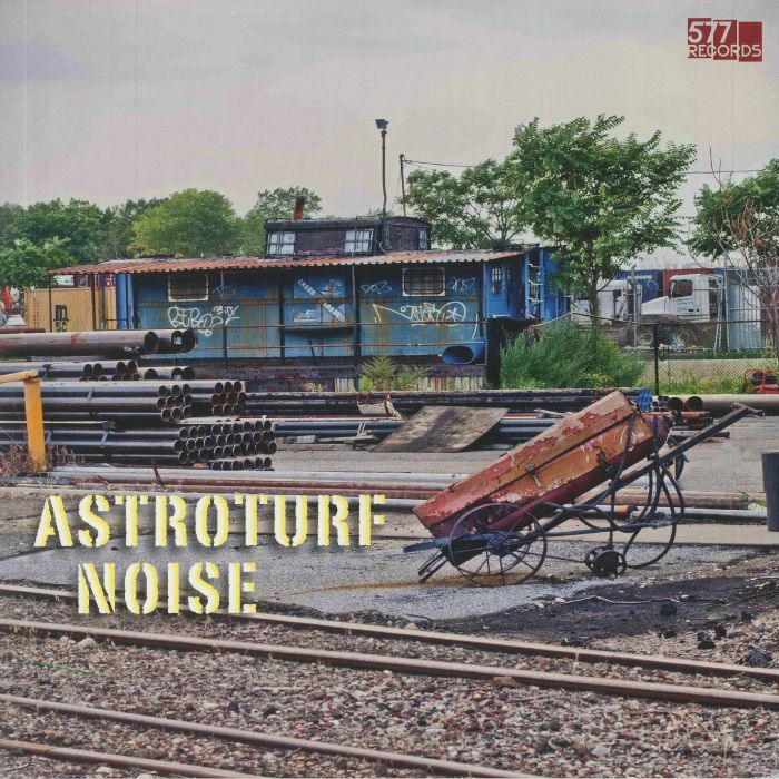 Astroturf Noise - Vinyl LP vinyl record cover