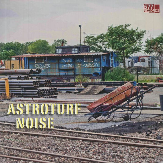 Astroturf Noise - Vinyl LP vinyl record cover