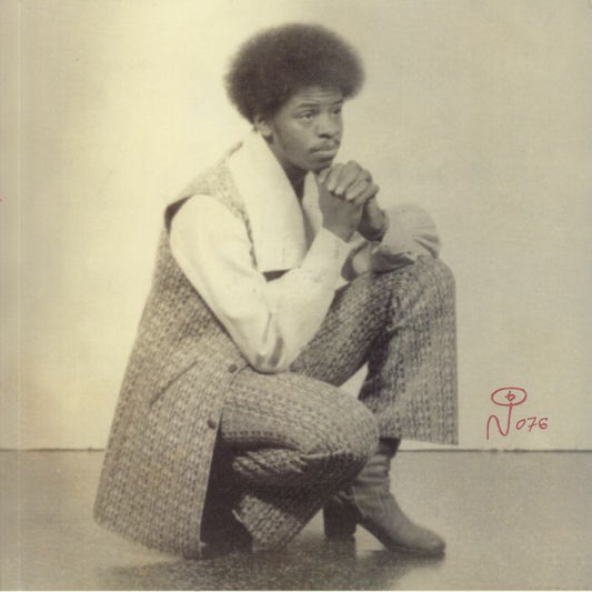 I'm A Stranger - 2xLP vinyl record cover