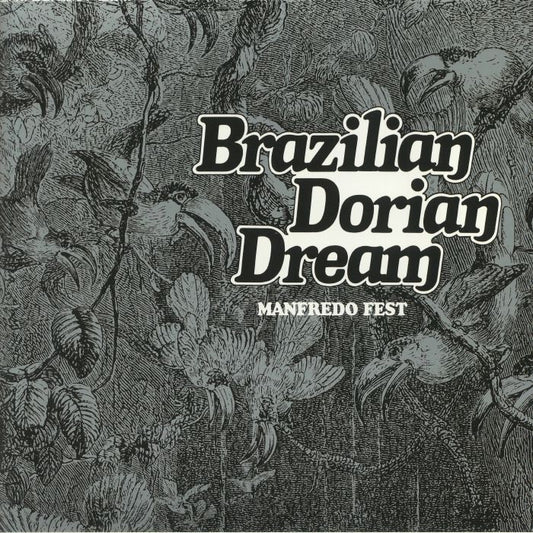 Brazilian Dorian Dream - Vinyl LP vinyl record cover