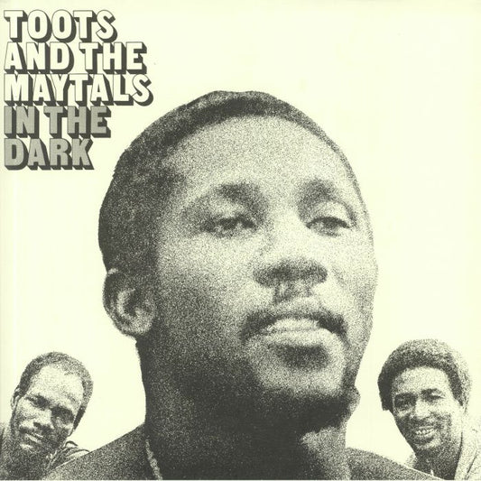 In The Dark - Vinyl LP vinyl record cover