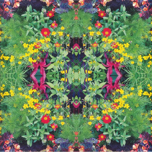 Kaleidoscope: New Spirits Known & Unknown - Limited 3xLP + 7" vinyl record cover