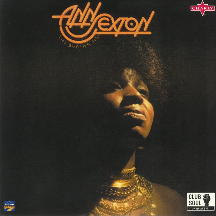 The Beginning - Vinyl LP vinyl record cover