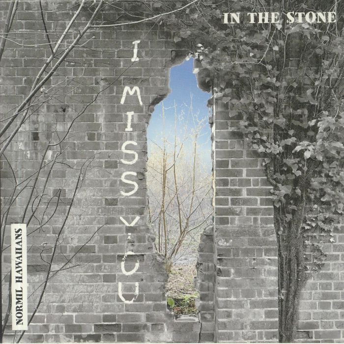 In The Stone - Vinyl Single vinyl record cover