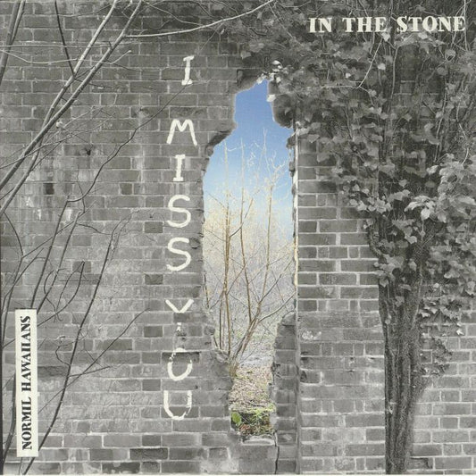 In The Stone - Vinyl Single vinyl record cover