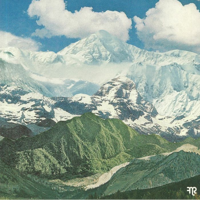 Days As Echoes - Vinyl LP vinyl record cover