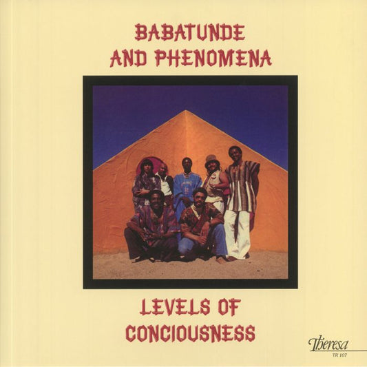 Levels Of Conciousness - Vinyl LP vinyl record cover