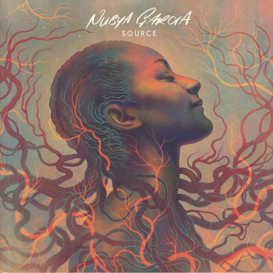 Source - 2xLP vinyl record cover