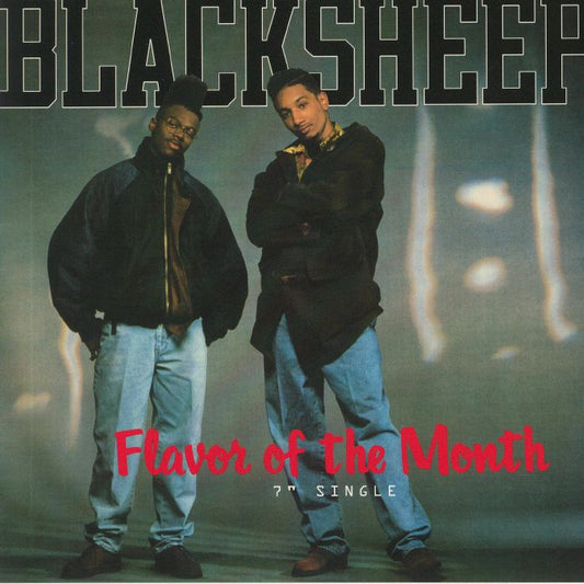 Flavor Of The Month - Vinyl Single vinyl record cover