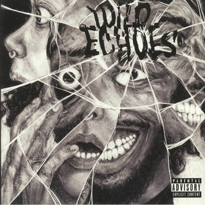 Wild Echoes - Vinyl LP vinyl record cover
