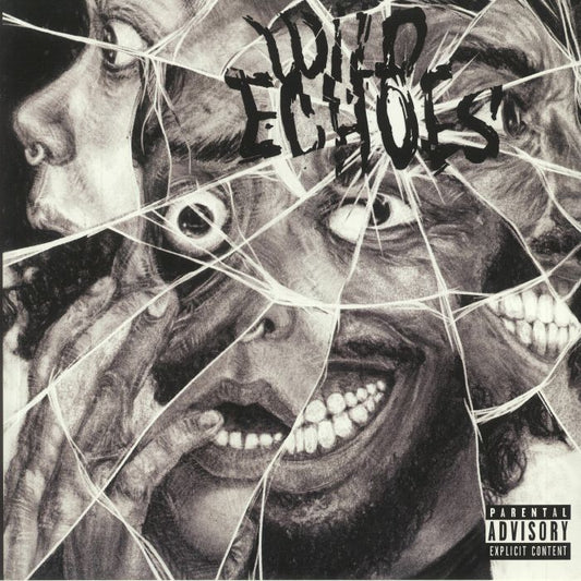 Wild Echoes - Vinyl LP vinyl record cover
