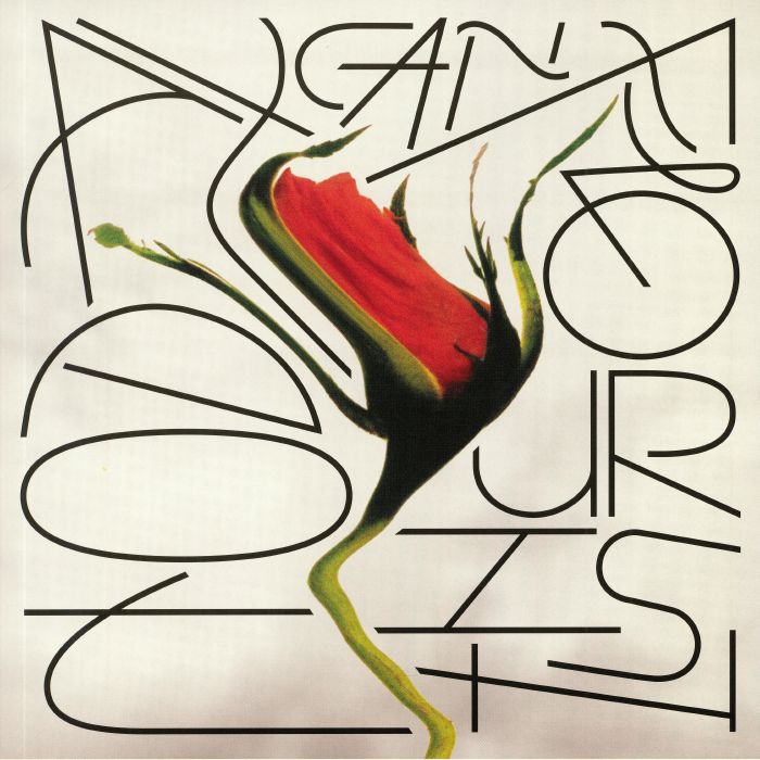 Today Can Flourish - Vinyl LP vinyl record cover