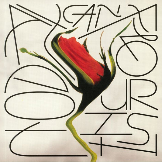 Today Can Flourish - Vinyl LP vinyl record cover