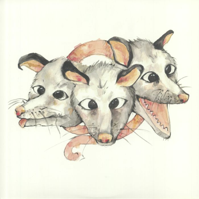 Opossums - Limited Edition Vinyl LP vinyl record cover