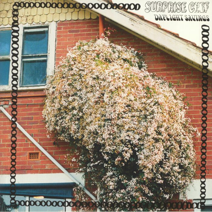 Daylight Savings - Vinyl LP vinyl record cover
