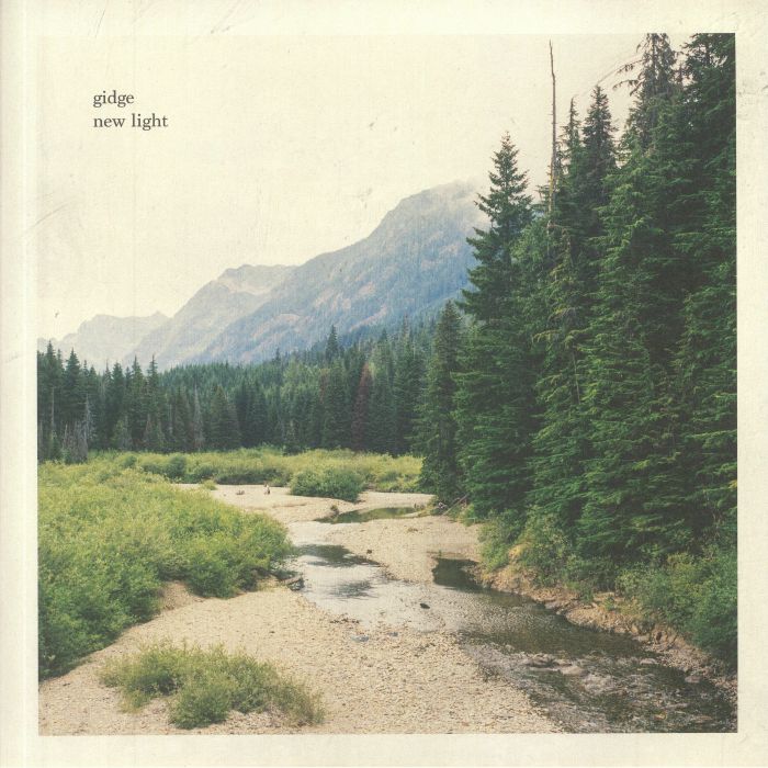 New Light - 2xLP vinyl record cover